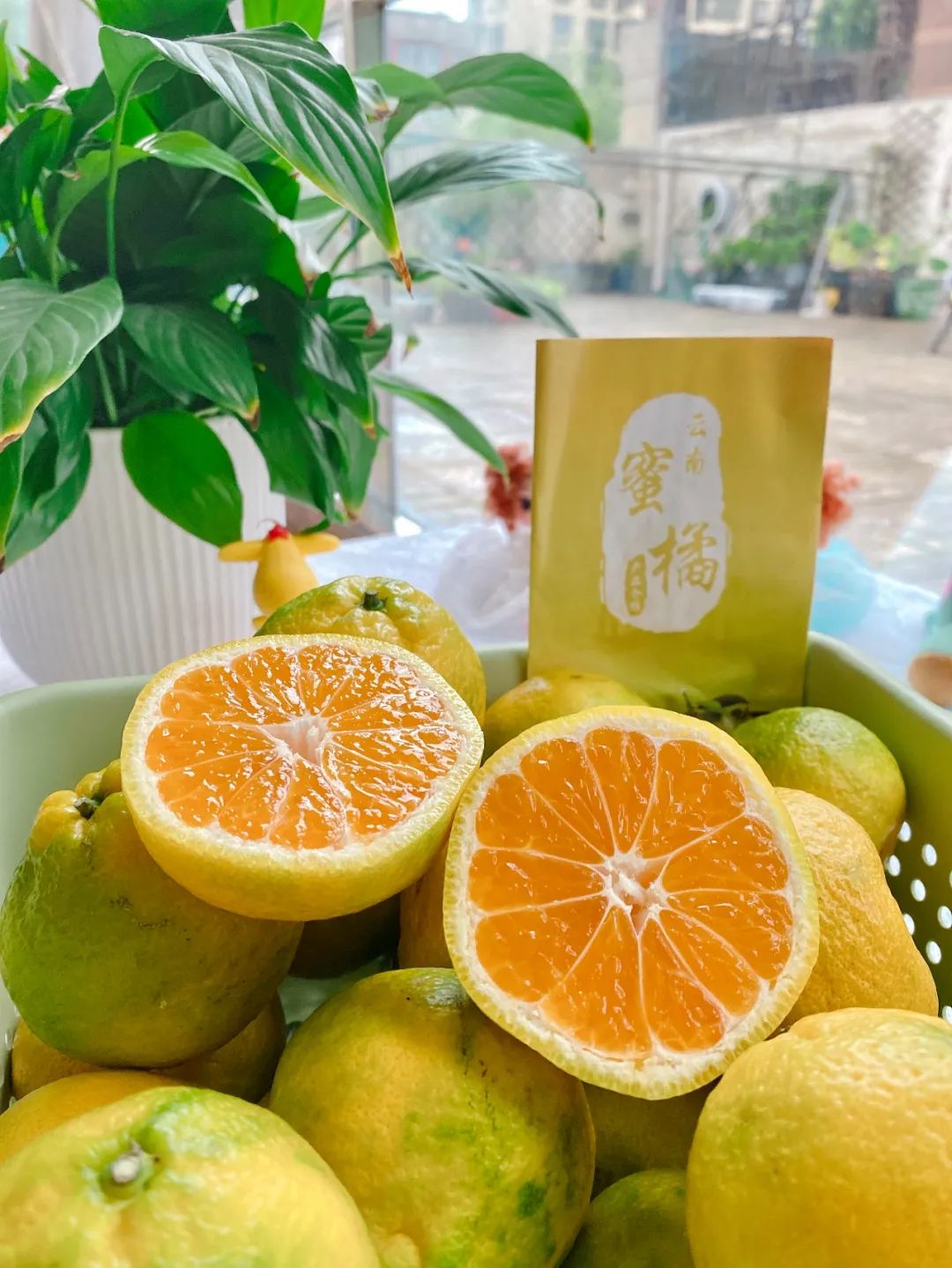 华宁无籽蜜桔5斤装