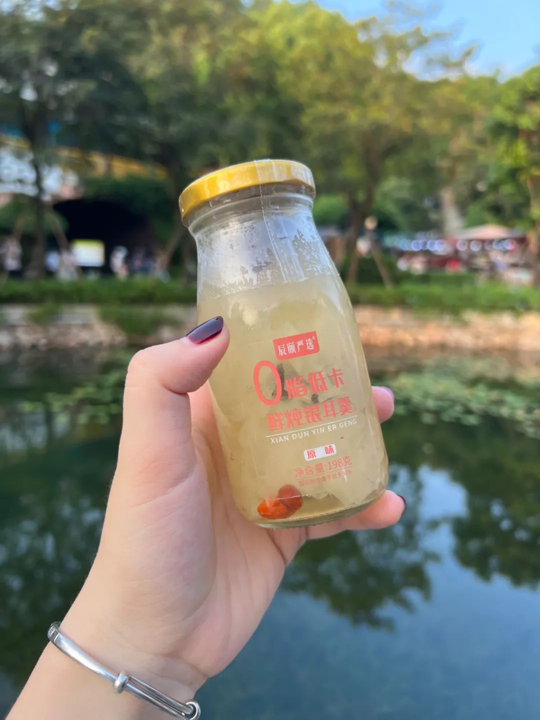  0脂低卡鲜炖银耳羹
