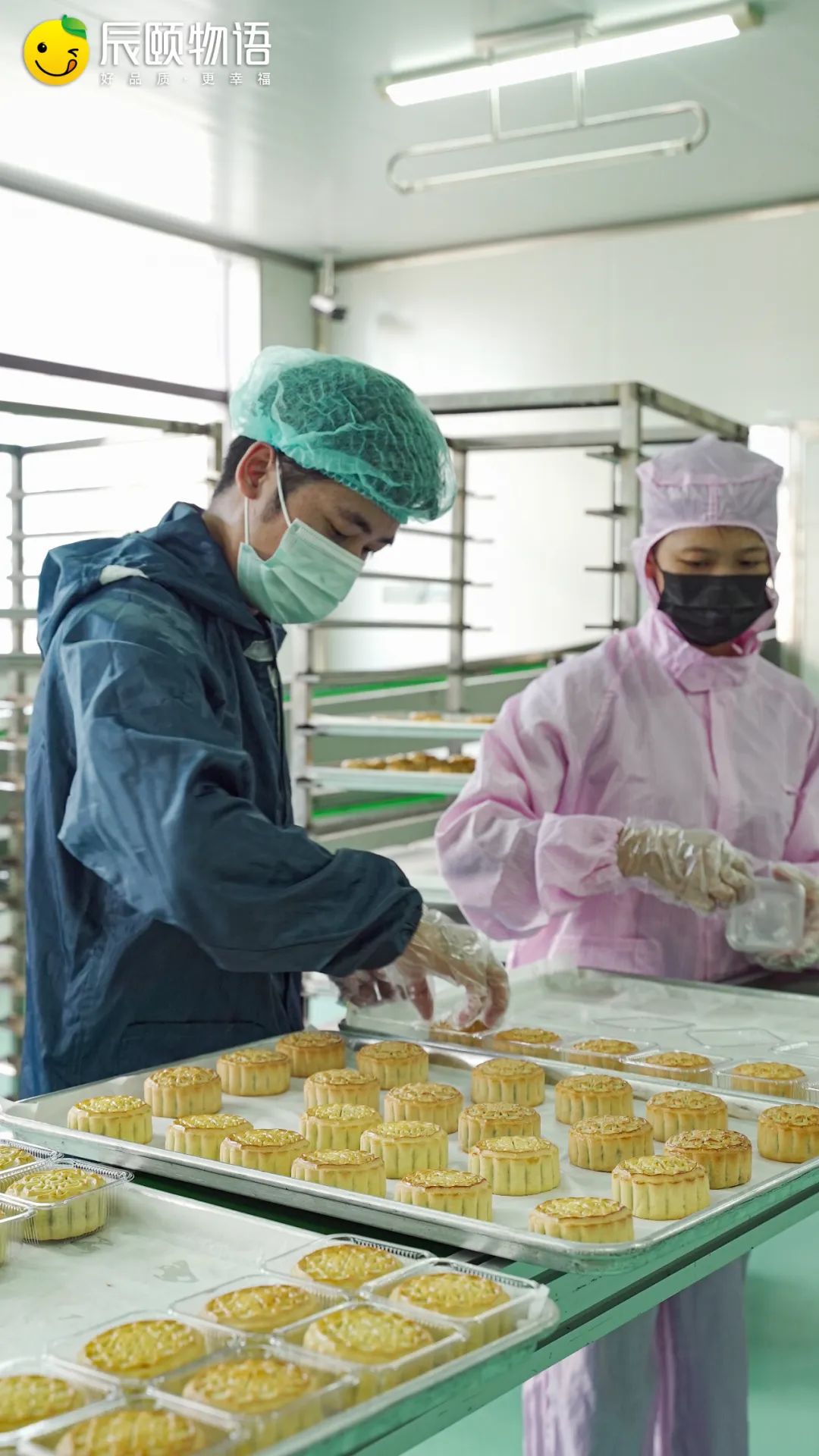  花好月圆-经典传统月饼礼盒